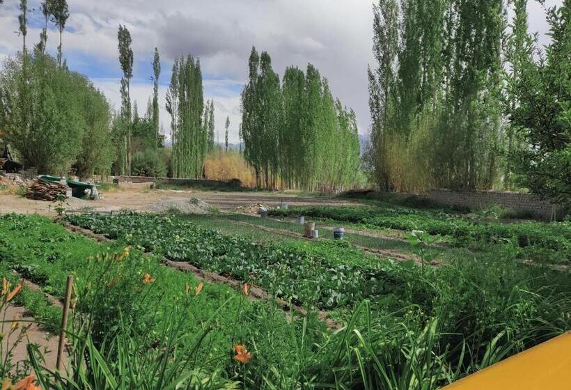 Pensão Napishu Guest House