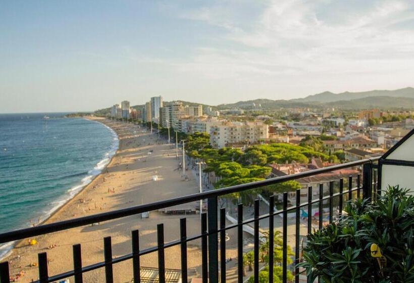 Spacious Seafront Apartment