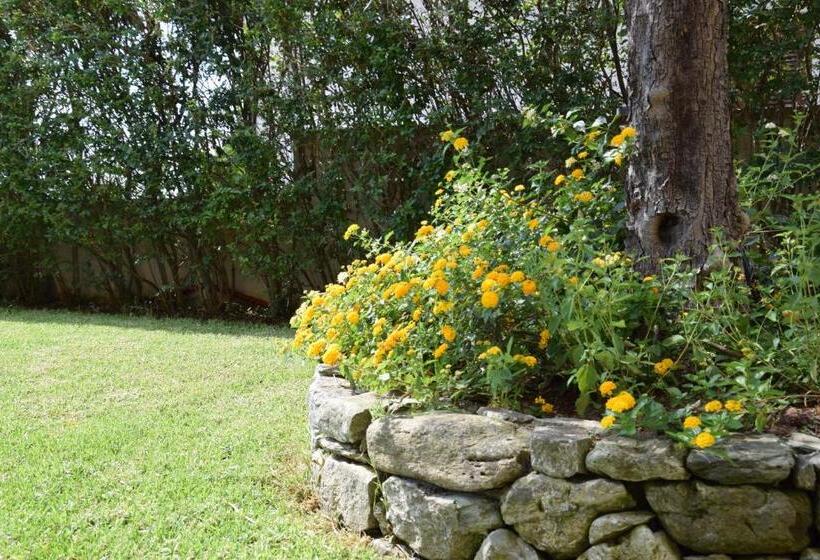 Bed and Breakfast Al Chiaro Di Luna