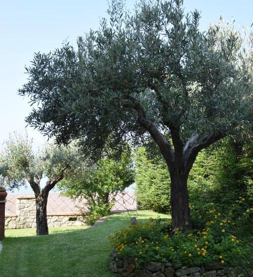 Bed and Breakfast Al Chiaro Di Luna