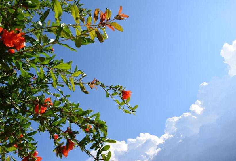 Bed and Breakfast Al Chiaro Di Luna