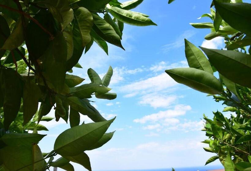 Bed and Breakfast Al Chiaro Di Luna