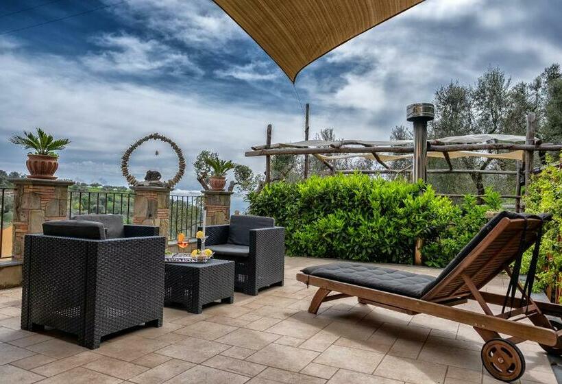 تختخواب و صبحانه Domus Ars Home