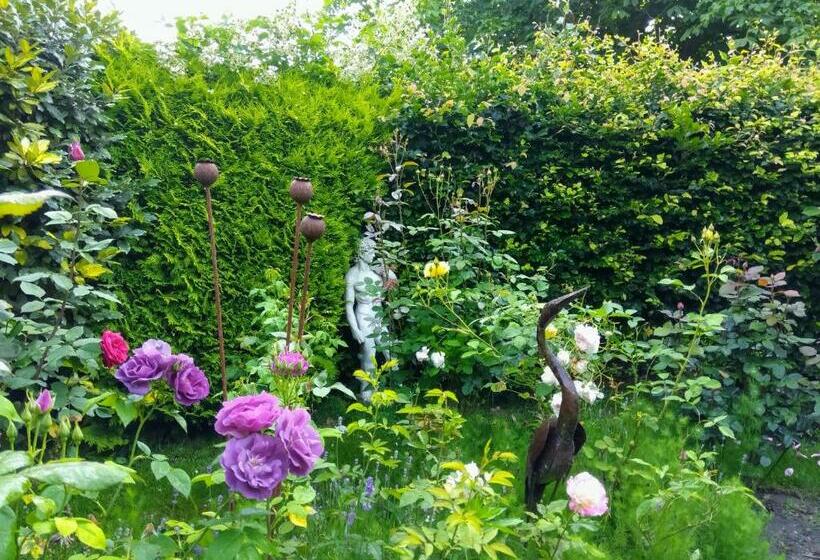 צימר Mountain Ash