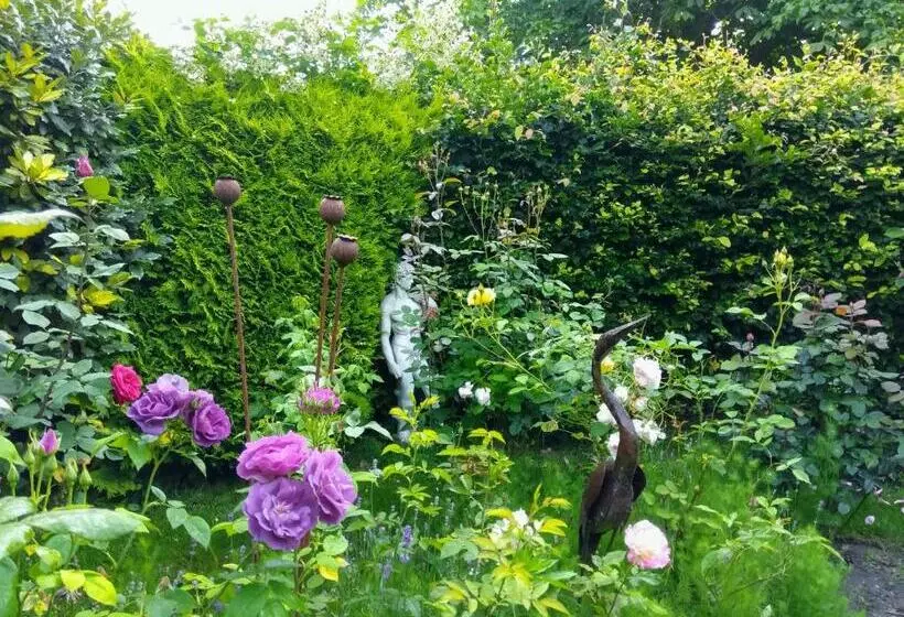 Aamiaismajoitus (B&B) Mountain Ash