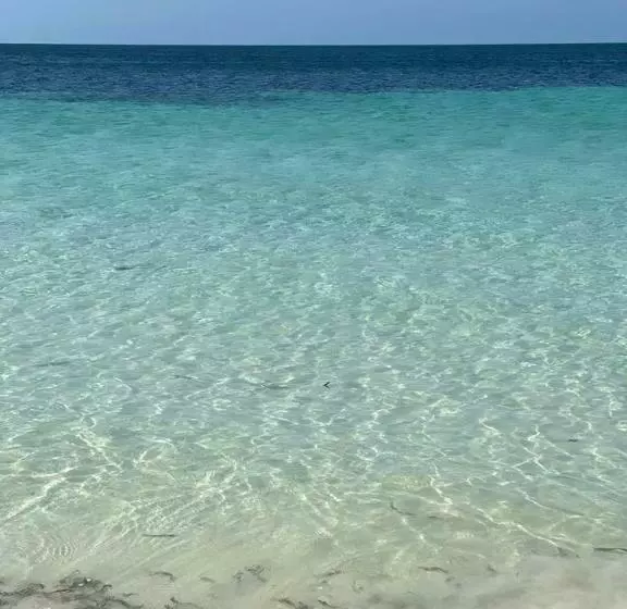 ホテル Namahamade Lodge Restaurante & Beach Bar