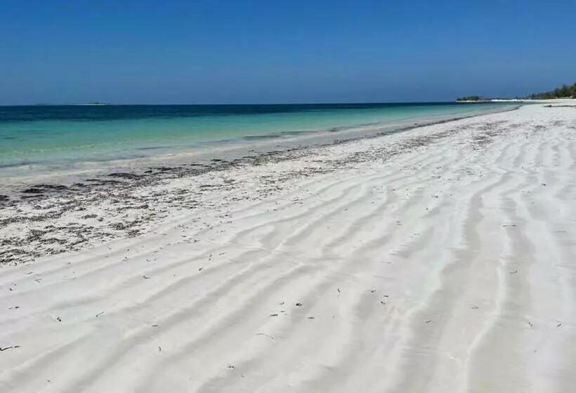 ホテル Namahamade Lodge Restaurante & Beach Bar