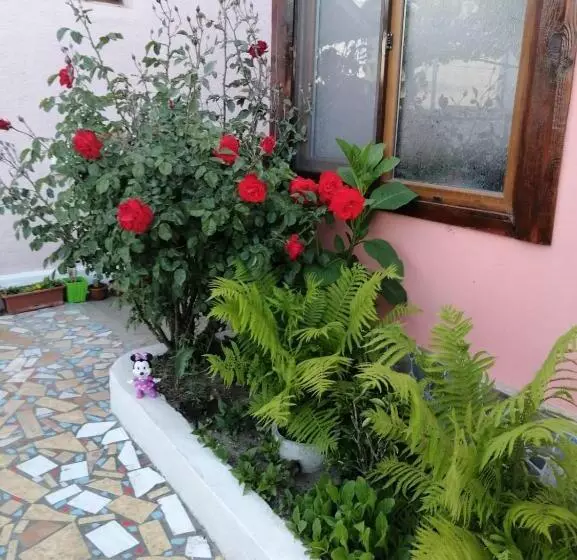 ペンション Casa Ancora Sulina