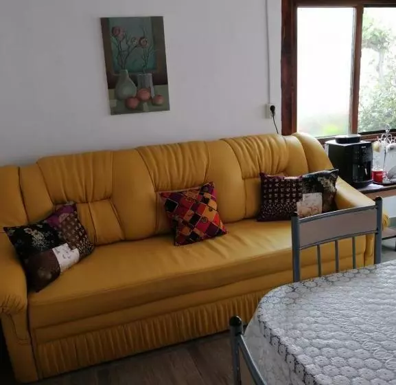 ペンション Casa Ancora Sulina
