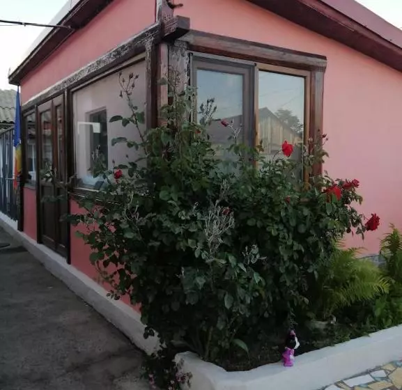 ペンション Casa Ancora Sulina