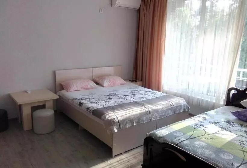پانسیون Str.agmashenebeli 548