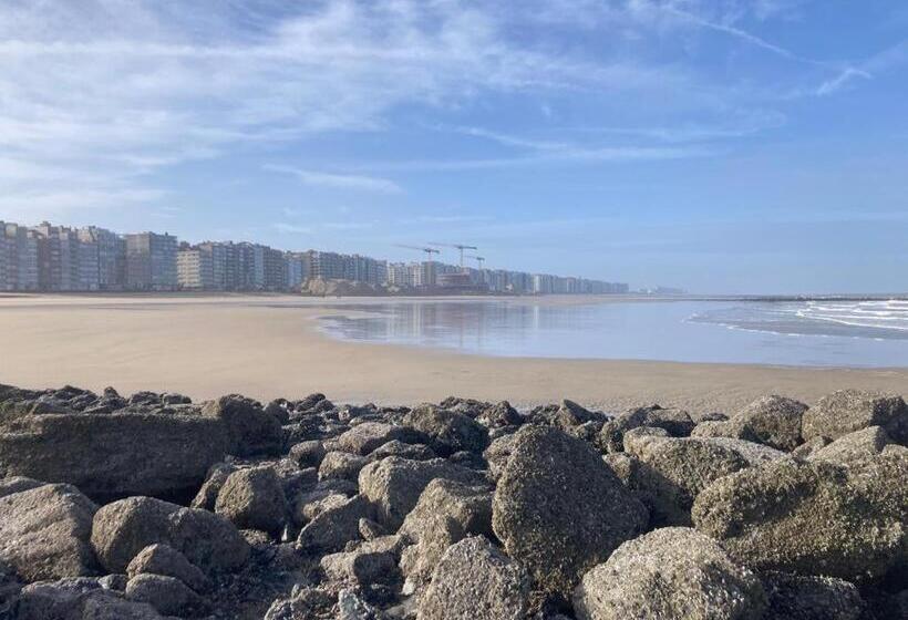 Seasight Toplocation Appartment