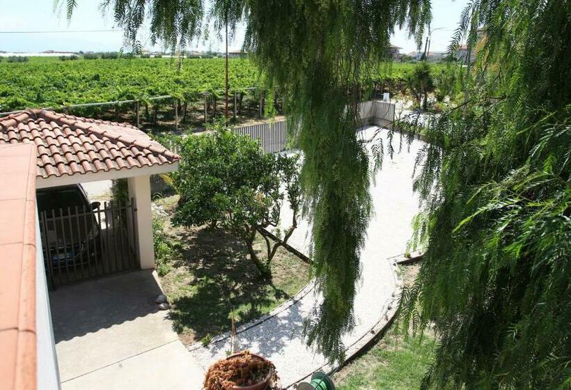 B&b Bonaventura And Bonaventura Food