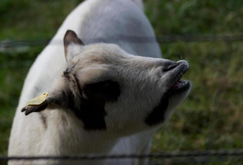 민박 La Grande Mardelle   La Grange