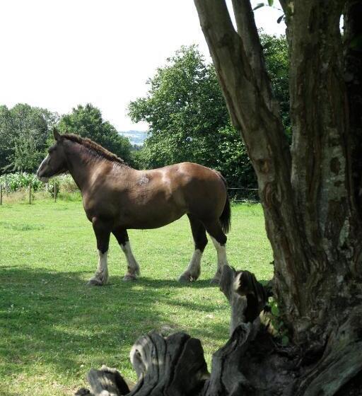 민박 La Grande Mardelle   La Grange