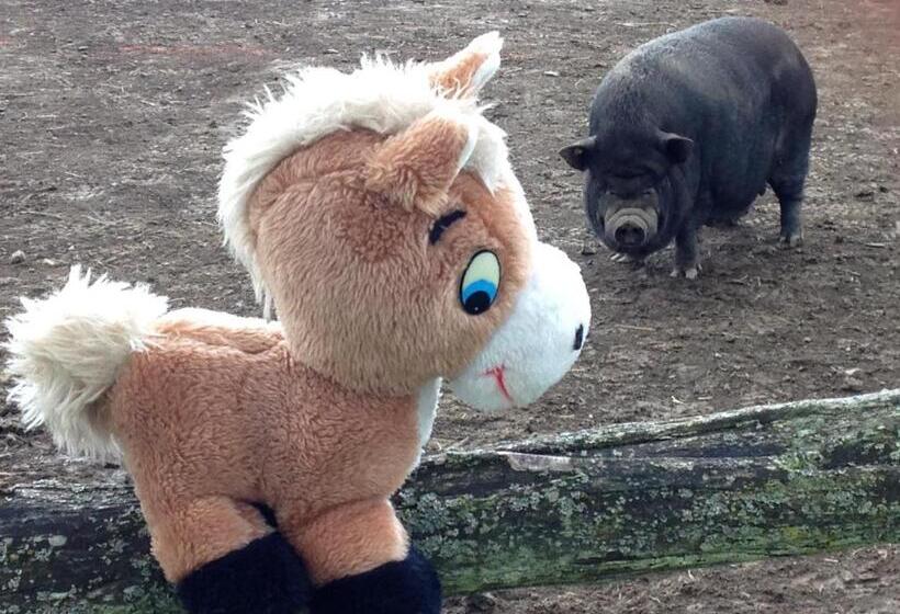 민박 La Grande Mardelle   La Grange