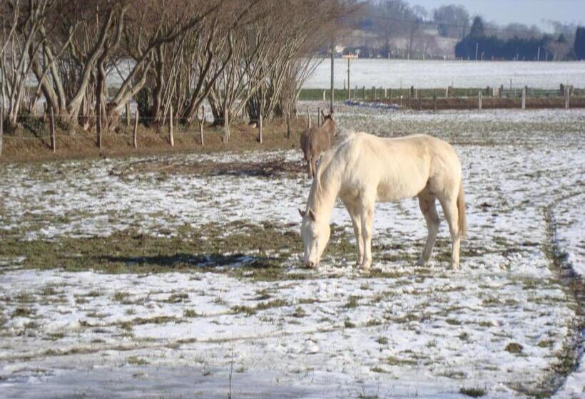 민박 La Grande Mardelle   La Grange