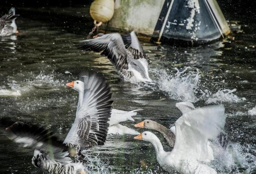 민박 La Grande Mardelle   La Grange