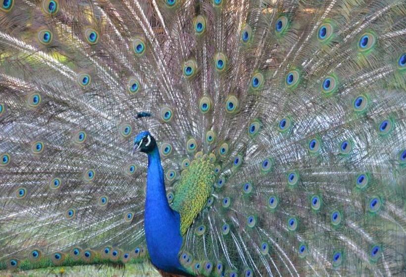 민박 La Grande Mardelle   La Grange