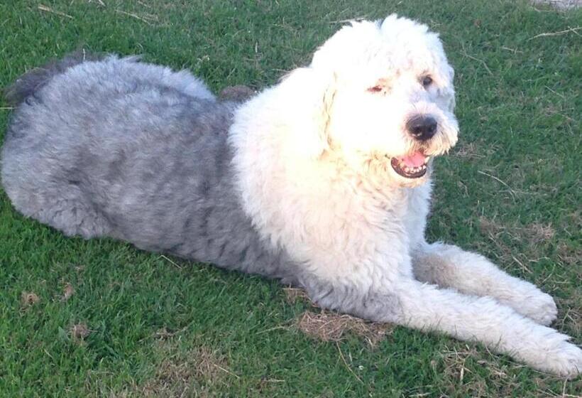 민박 La Grande Mardelle   La Grange