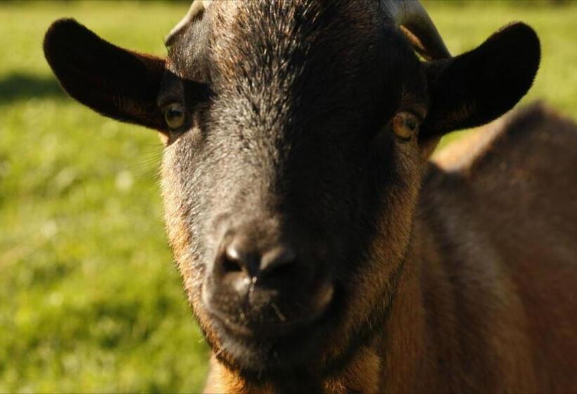 민박 La Grande Mardelle   La Grange