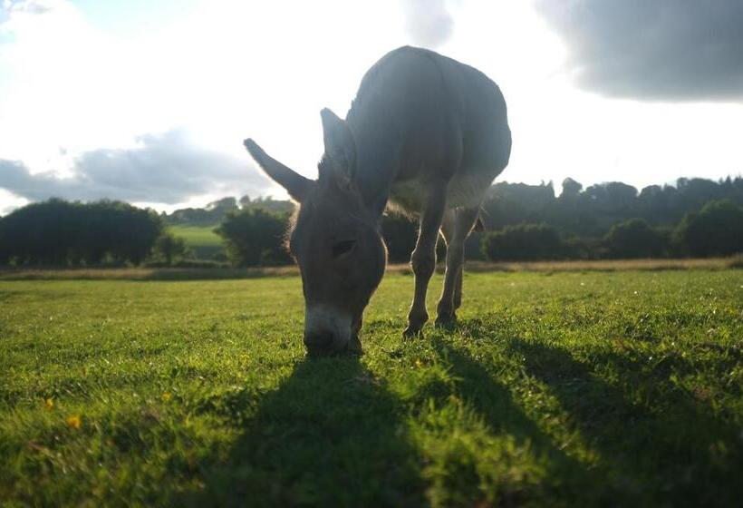 민박 La Grande Mardelle   La Grange