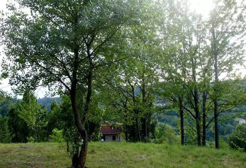 Cascina Ciosse B&b