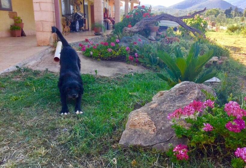 هتل Agriturismo Sogno Latino