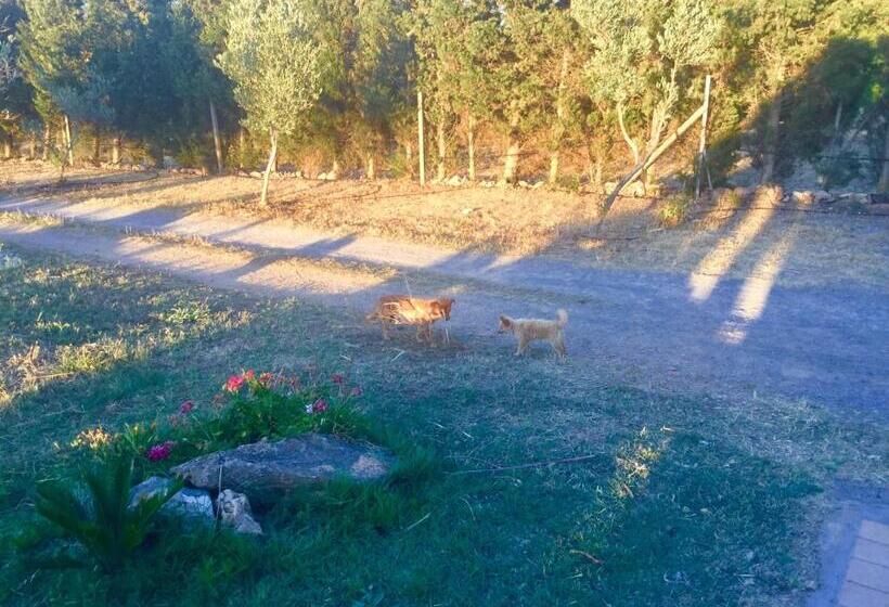 هتل Agriturismo Sogno Latino