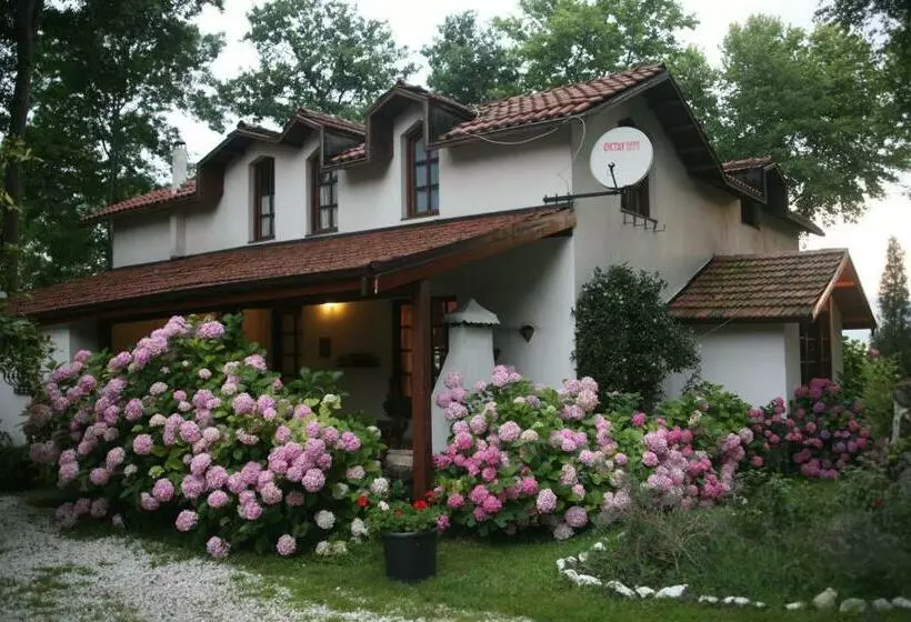 ホテル Beta Home Lake House Sapanca
