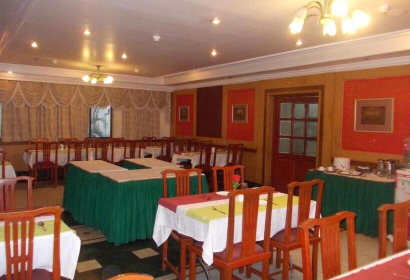 ホテル Metro Manor