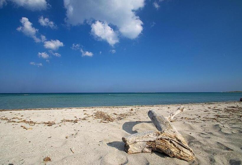 פנסיון B&b Volga Twentyone