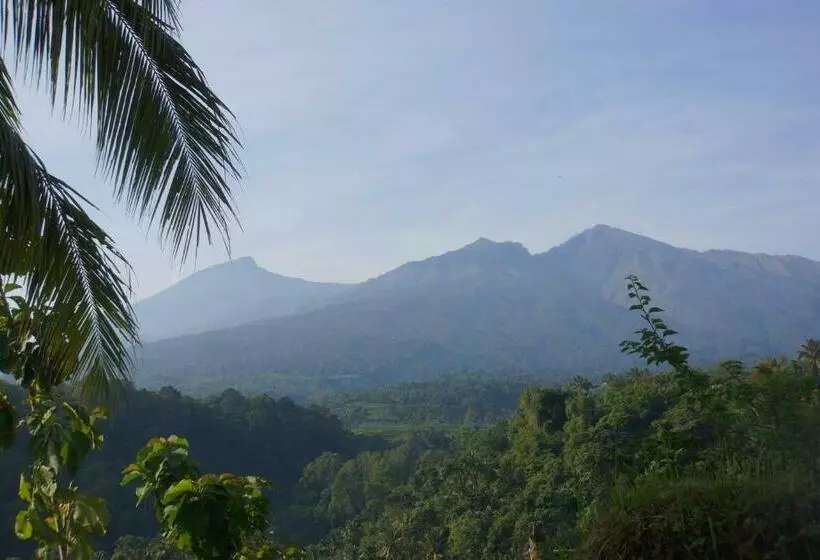 ペンション Horizon Senaru Villa