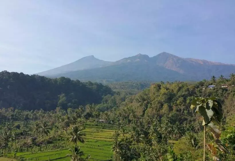 ペンション Horizon Senaru Villa