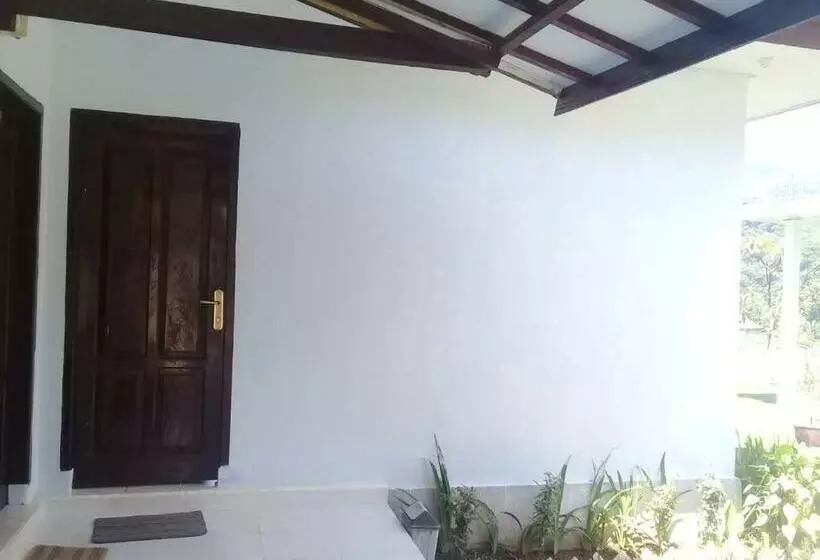 ペンション Horizon Senaru Villa