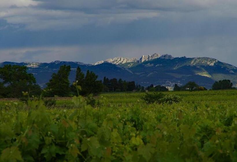 פנסיון Maison D´hôtes Le Mas Des Vignes