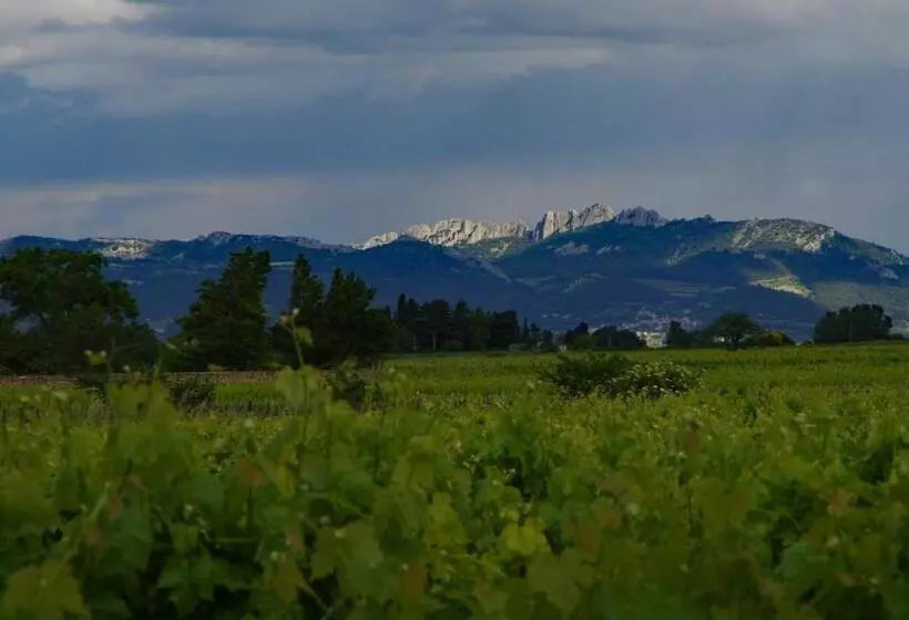 ペンション Maison D´hôtes Le Mas Des Vignes