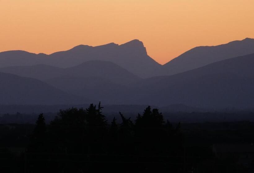 פנסיון Maison D´hôtes Le Mas Des Vignes