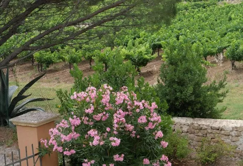 ペンション Maison D´hôtes Le Mas Des Vignes