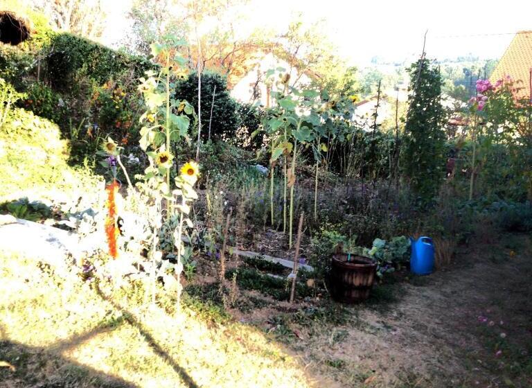 پانسیون Tourist Rooms Sajovic