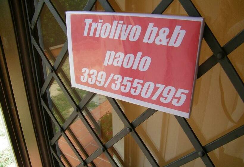 Triolivo B&b