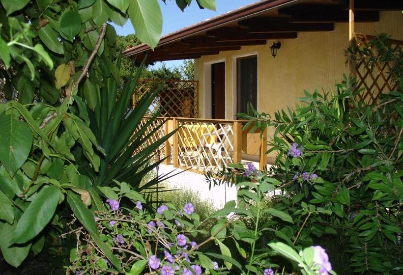 مبيت وإفطار S Alzolitta