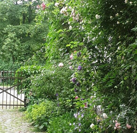 Bed and Breakfast Rosindell Cottage