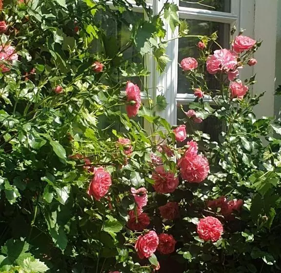 Bed and Breakfast Rosindell Cottage