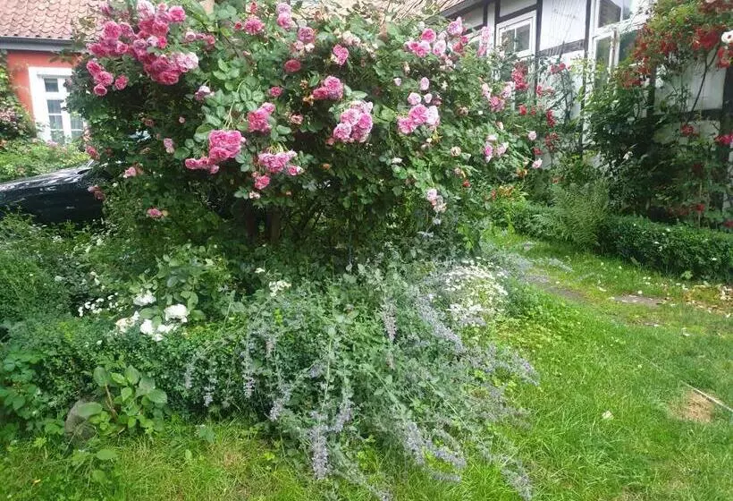 Bed and Breakfast Rosindell Cottage