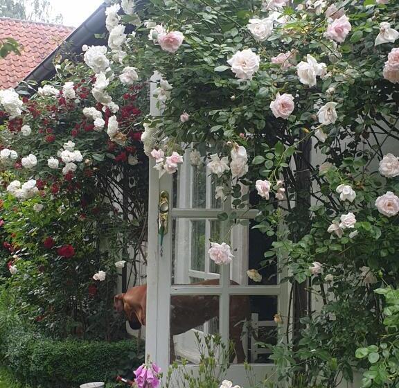 Bed and Breakfast Rosindell Cottage