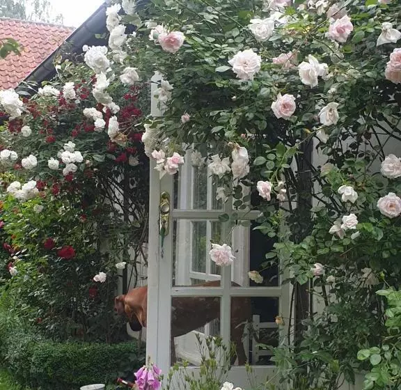 Bed and Breakfast Rosindell Cottage