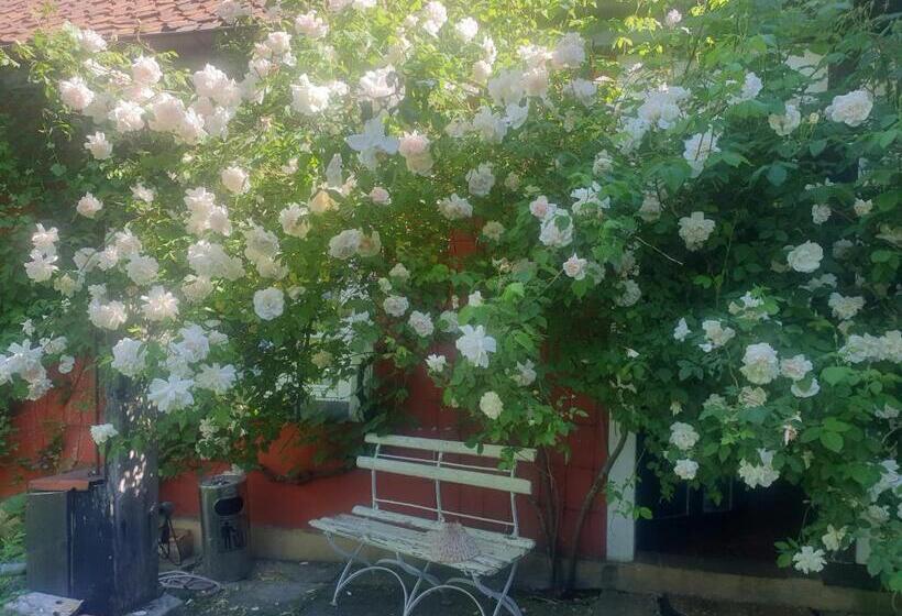 Bed and Breakfast Rosindell Cottage