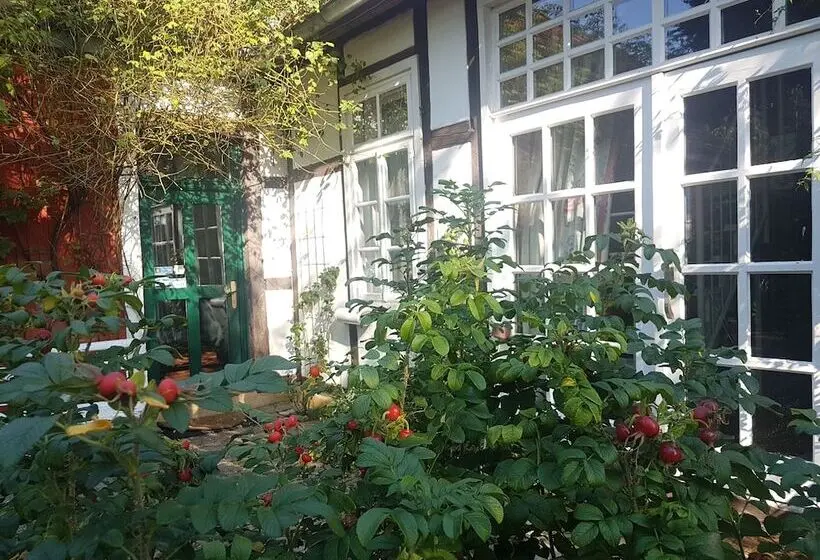 ベッドアンドブレックファースト Rosindell Cottage
