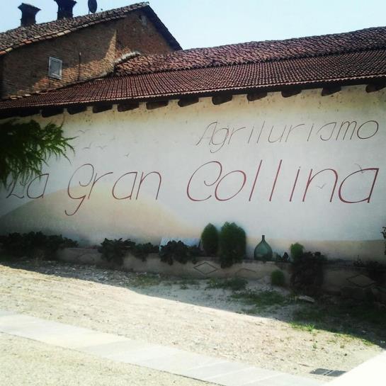 Gran Collina